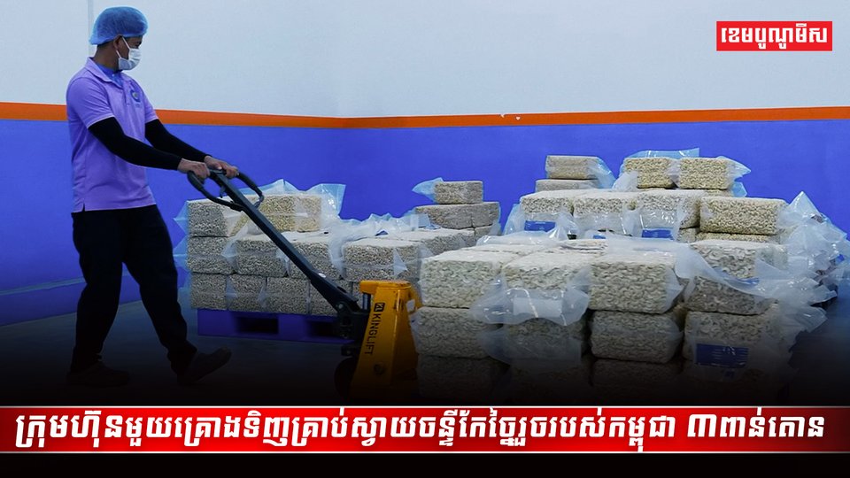 វិស័យស្វាយចន្ទី