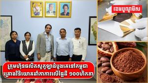 ក្រុមហ៊ុនផលិតសូកូឡាដំបូងគេនៅកម្ពុជា គ្រោងវិនិយោគដាំកាកាវលើផ្ទៃដី ១០០ហិកតា