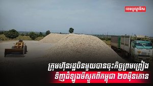 វិស័យកសិកម្ម
