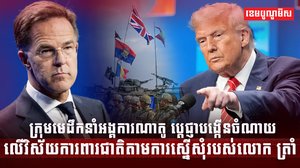 អង្គការណាតូ