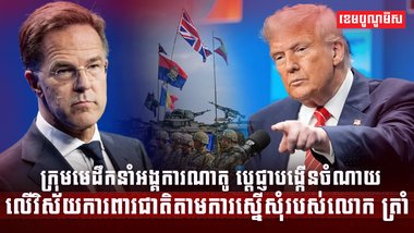 អង្គការណាតូ