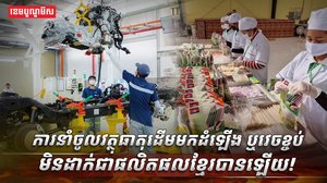 វិស័យ SME