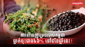 វិស័យកសិកម្ម