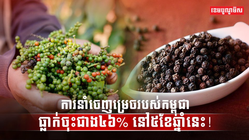 វិស័យកសិកម្ម