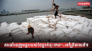 វិស័យស្រូវ អង្ករ