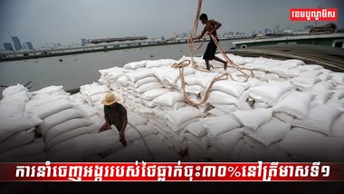 វិស័យស្រូវ អង្ករ