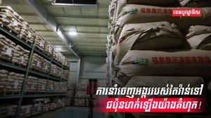 វិស័យស្រូវ អង្ករ