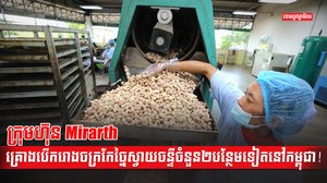 គ្រាប់ស្វាយចន្ទី