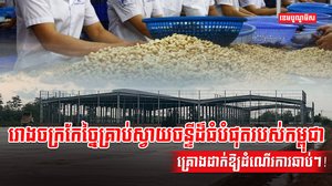 រោងចក្រកែច្នៃគ្រាប់ស្វាយចន្ទី