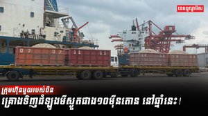ដំឡូងមី