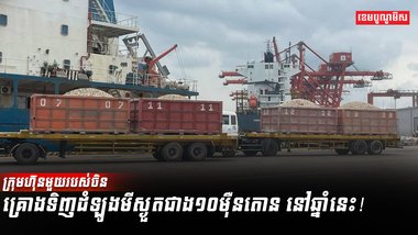 ដំឡូងមី