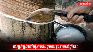 ទីផ្សារកៅស៊ូ