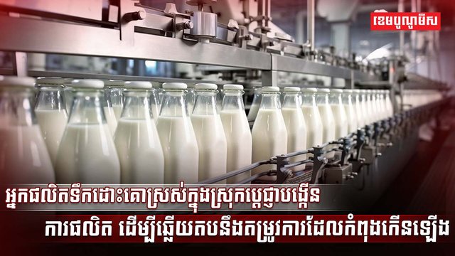 វិស័យ SME