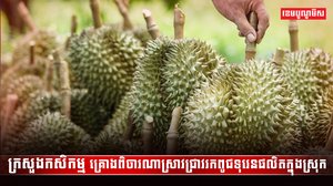 វិស័យកសិកម្ម