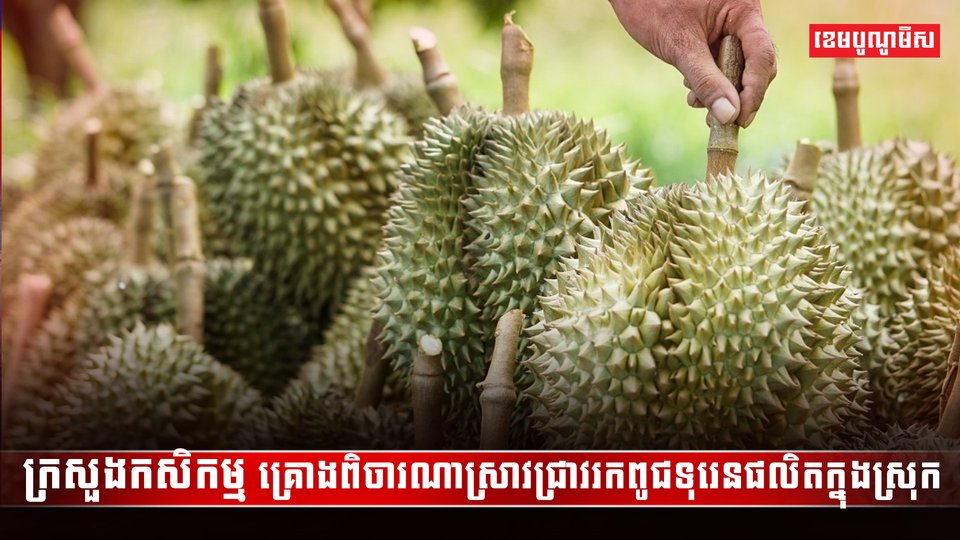 វិស័យកសិកម្ម
