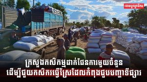 វិស័យកសិកម្ម
