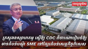វិស័យ SME