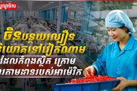 វិស័យពាណិជ្ជកម្ម
