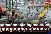 បញ្ហាខ្វះពលករ