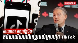 ក្រុមហ៊ុន TikTok