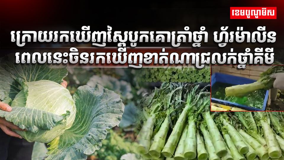 វិស័យកសិកម្ម