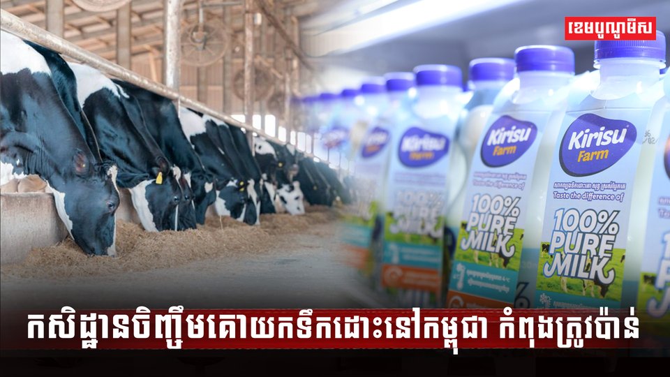 វិស័យចិញ្ចឹមសត្វ