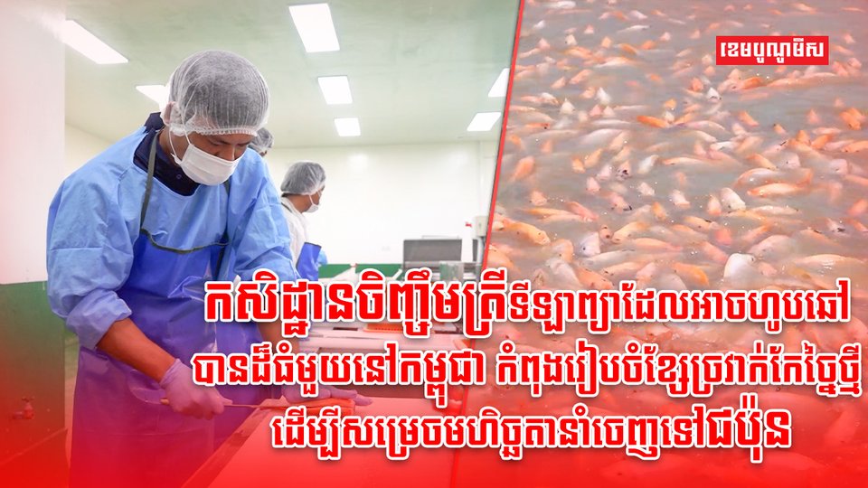 អ្នកចិញ្ចឹមត្រី