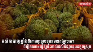 ទីផ្សារទុរេន