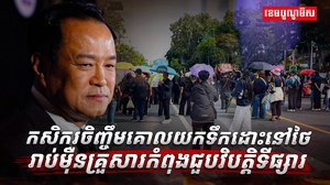 កសិករចិញ្ចឹមគោ
