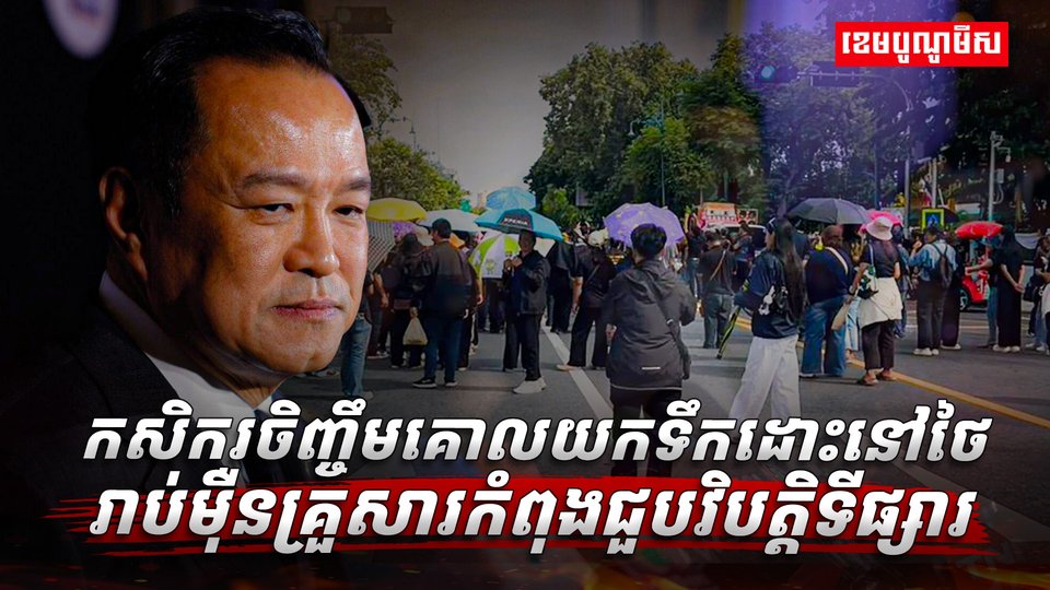 កសិករចិញ្ចឹមគោ