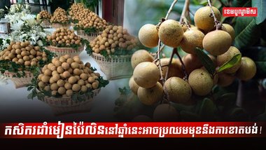 មៀនប៉ៃលិន