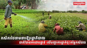 វិស័យកសិកម្ម