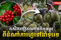 វិស័យកសិកម្ម