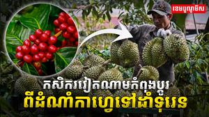 វិស័យកសិកម្ម