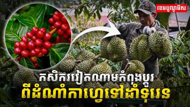 វិស័យកសិកម្ម