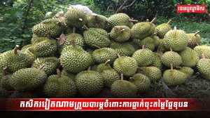 ទីផ្សារទុរេន
