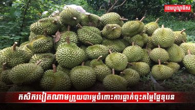 ទីផ្សារទុរេន