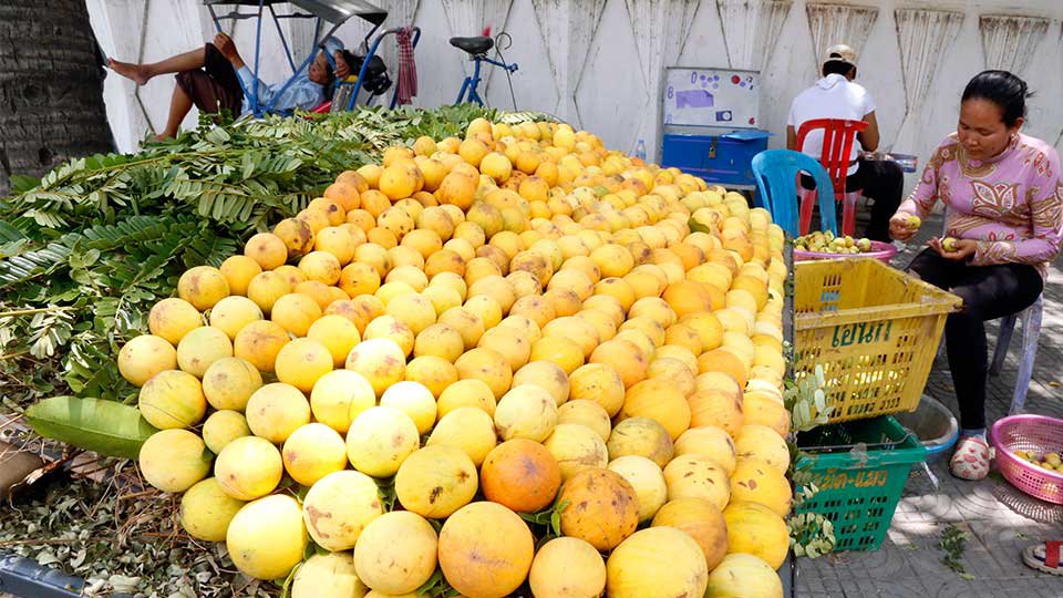 ស្ត្រី​អ្នក​លក់​ផ្លែ​គុយ​នៅ​តាម​ផ្លូវ​ប៉ាស្ទ័រ (ផ្លូវ ៥១) ក្នុងទីក្រុង​ភ្នំពេញ។ រូបភាព៖ ហេង ភារម្យ