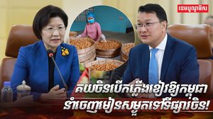 វិស័យកសិកម្ម