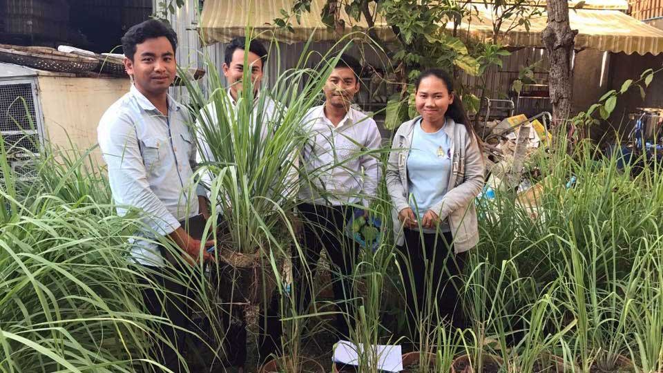 យុវជន​មួយ​ក្រុម​កំពុង​ហាត់​រៀន​ជំនាញ​កសិ​ពាណិជ្ជកម្ម​ពី​បណ្ឌិត​យ៉ង សាំងកុមារ