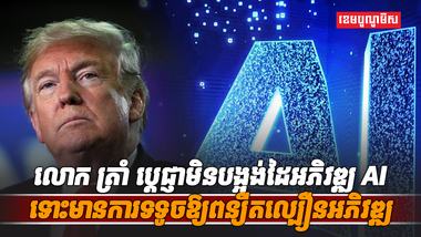 វិស័យ AI