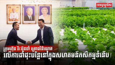 វិស័យកសិកម្ម