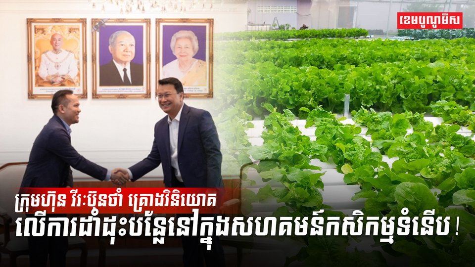 វិស័យកសិកម្ម