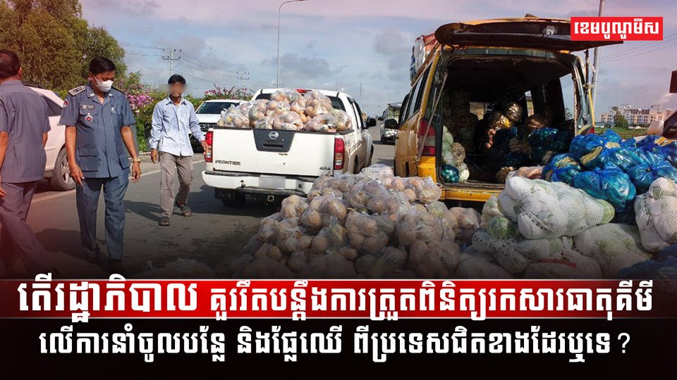 ការនាំចូលបន្លែ