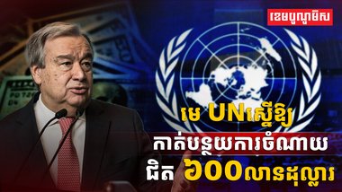 អង្គការសហប្រជាជាតិ