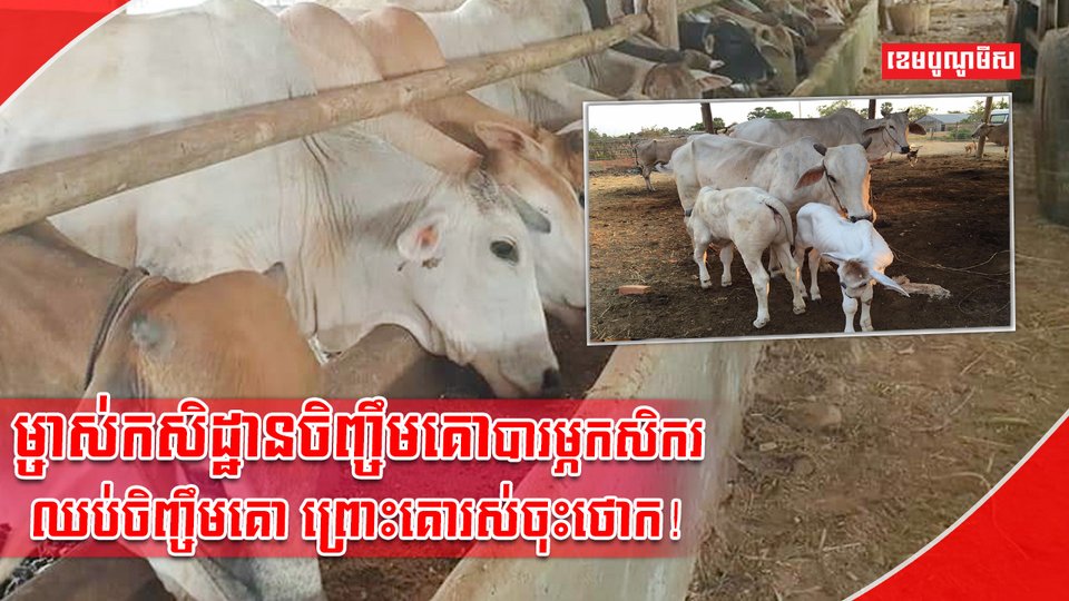 អ្នកចិញ្ចឹមសត្វ