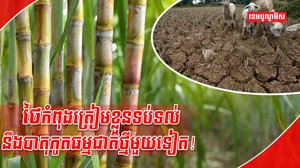 បាតុភូតអែលនីណូ