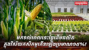 វិស័យកសិកម្ម