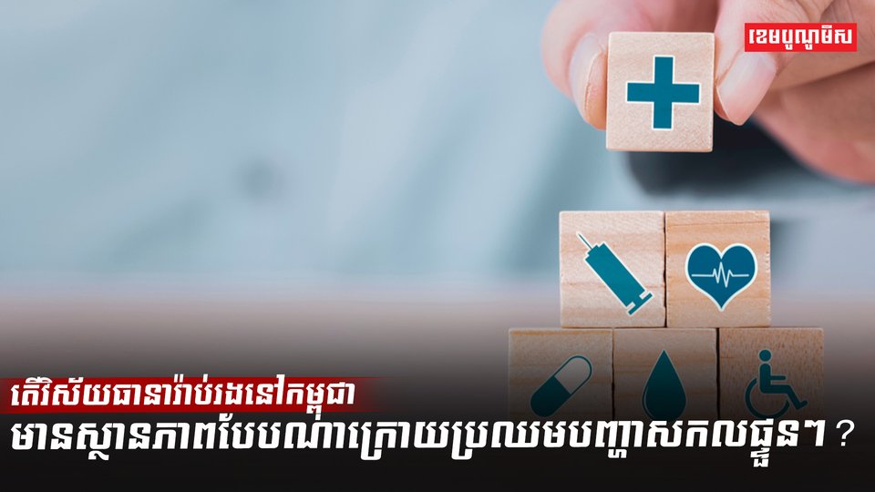 វិស័យធានារ៉ាប់រង