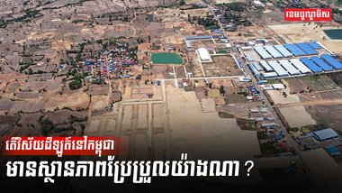 វិស័យដីឡូត៍